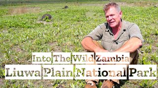 Into the Wild Zambia E01: Liuwa Plain National Park