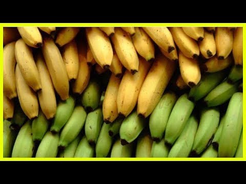 Vidéo: Différence Entre La Banane Et Le Plantain