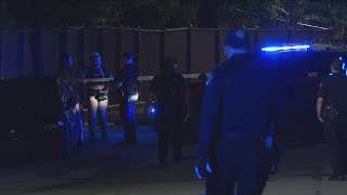 2 friends shot while trying to break up fight in Buckhead Trader Joe's parking lot