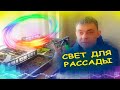 Три способа подсветки рассады. Как сделать подсветку для рассады. Освещение для растений зимой.