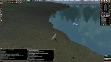 Where to find Sorrow - Dark Age of Camelot Uthgard Beta