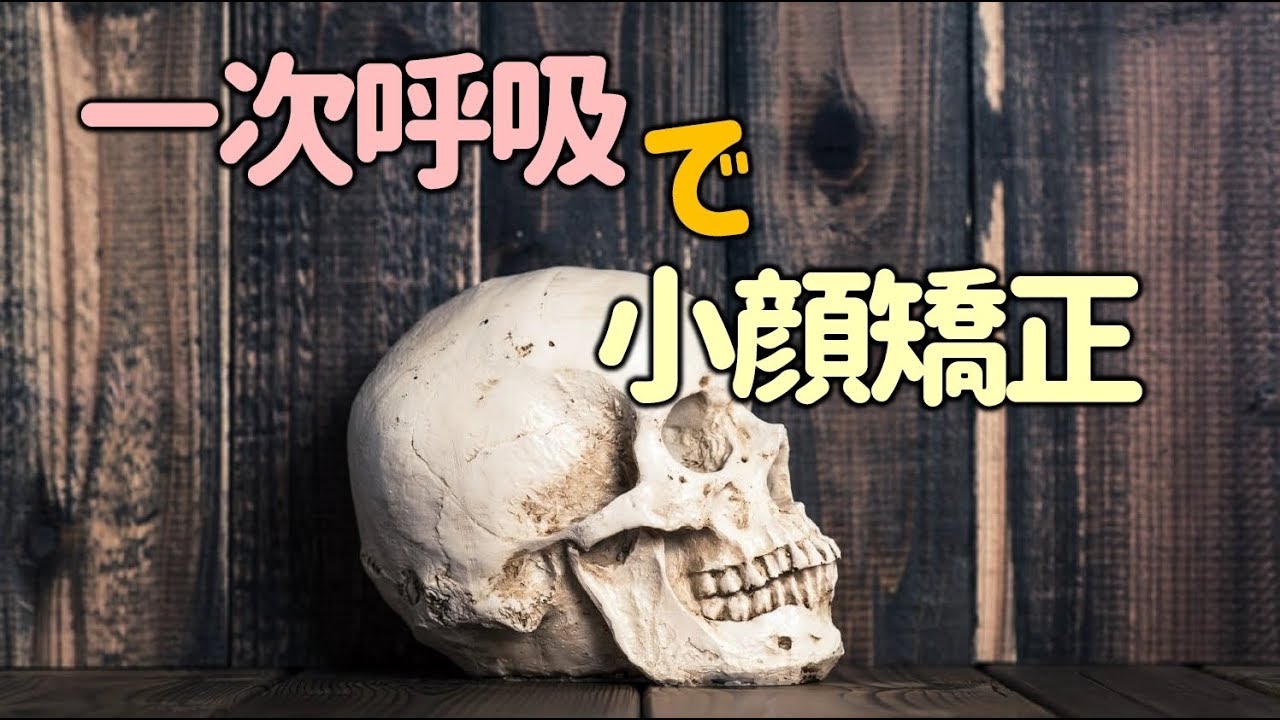 頭蓋療法と身体呼吸／マニュアル メディスン上級編 Amazon.co.jp: 良く分かる! 頭蓋仙骨療法 (クラニオセイクラル