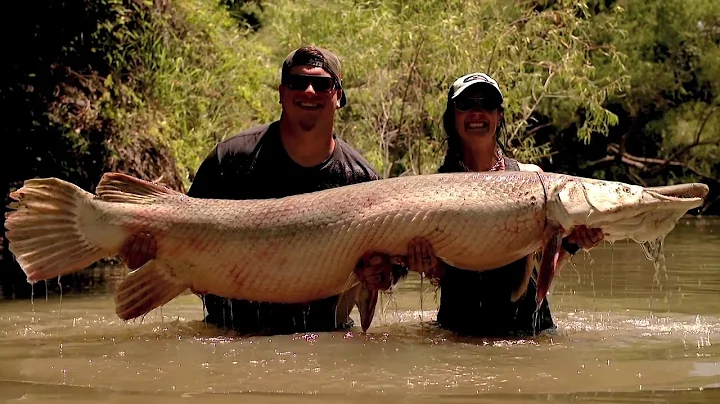 Bowfishing Alligator Gar- Winchester Deadly Passion- Web Promo