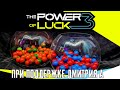 №4 ЖЕРЕБЬЁВКА НА The Power of Luck 3. От Дмитрия А.