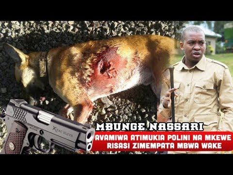 Video: Sababu 3 Mbwa Mbwa Ni Kama Watoto