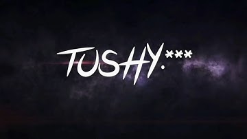 [Crit] Dual Dagger SinX - STR 2!!