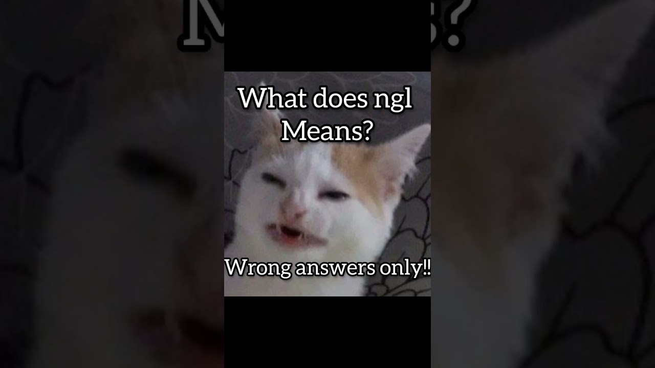 what does ngl means?