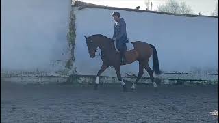 Ad ref 303326