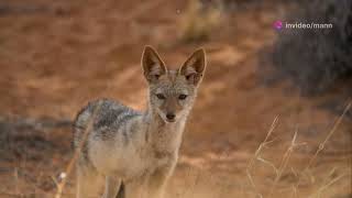 18 Free Things To Do In Dubai You Cant Miss By Manns Workspace