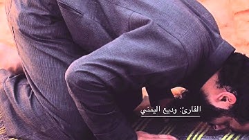 من سورة الشعراء | القارئ: وديع اليمني