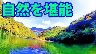 屋久島の川をカヤックで探検したら綺麗すぎた！！