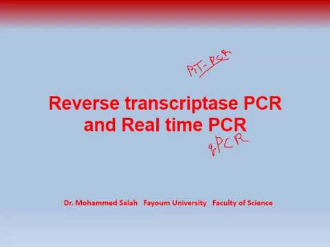 Video: Deteksi Dan Diferensiasi Virus Schmallenberg, Akabane Dan Aino Dengan Uji Satu Langkah Multiplex Reverse-transcriptase Kuantitatif PCR