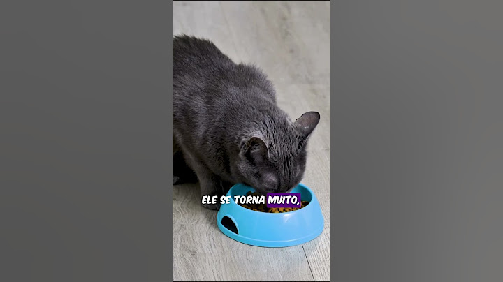 ISSO É MUITO PERIGOSO SEU O GATO PODE MORR3R!!! CUIDADO!