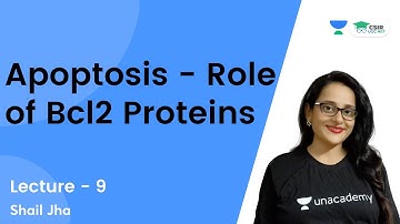 Apoptosis - Role of Bcl2 Proteins | CSIR NET 2021 | By Shail Jha