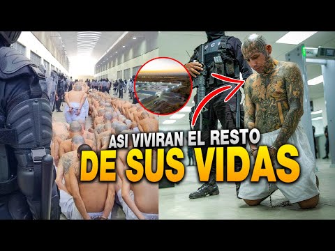 😱 BOMBAZO😱 ACLARANDO LO DE LOS 170 DOLARES DE ALIMENTACION EN LOS PENALES