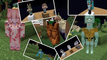 蟑螂人，兽人还有二次元老婆！17个修改村民外貌的优质材质！【熵】