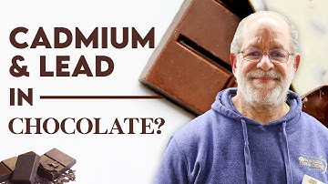 Nutrition expert on the safety of cadmium & lead in chocolate