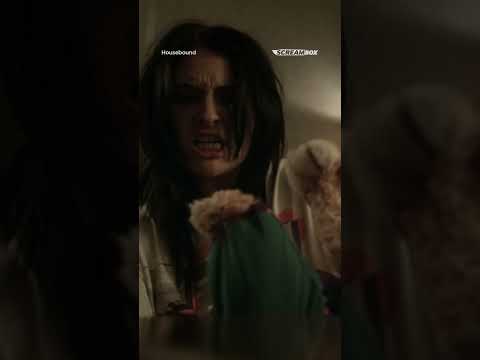 I don't think she wants to be friends, buddy. #housebound