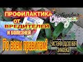 Обработка орхидей от вредителей универсальным препаратом БИ 58