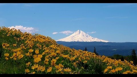 McCall Nature Preserve Rowena Crest - Eastern Gorge, Oregon