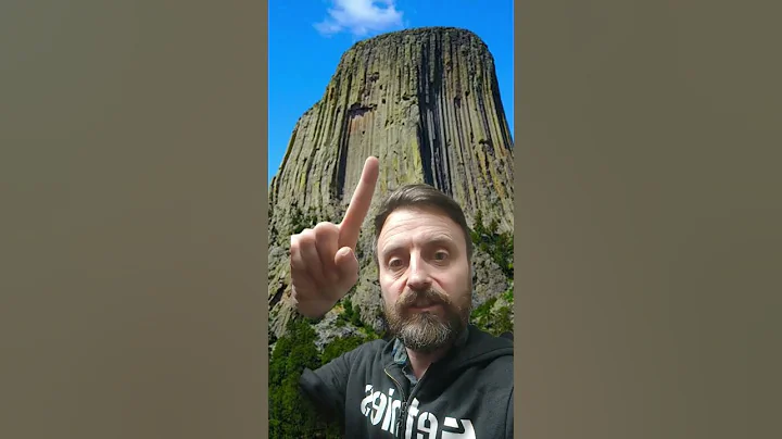 Is the devils tower actually a Giant fossilised tree??