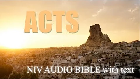 ACTS(NIV AUDIO BIBLE with text)
