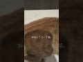#猫 #猫のいる暮らし #茶トラ この元野良猫めちゃくちゃ喋る