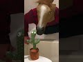 Buckets The Drummer Vs Dancing Cactus 