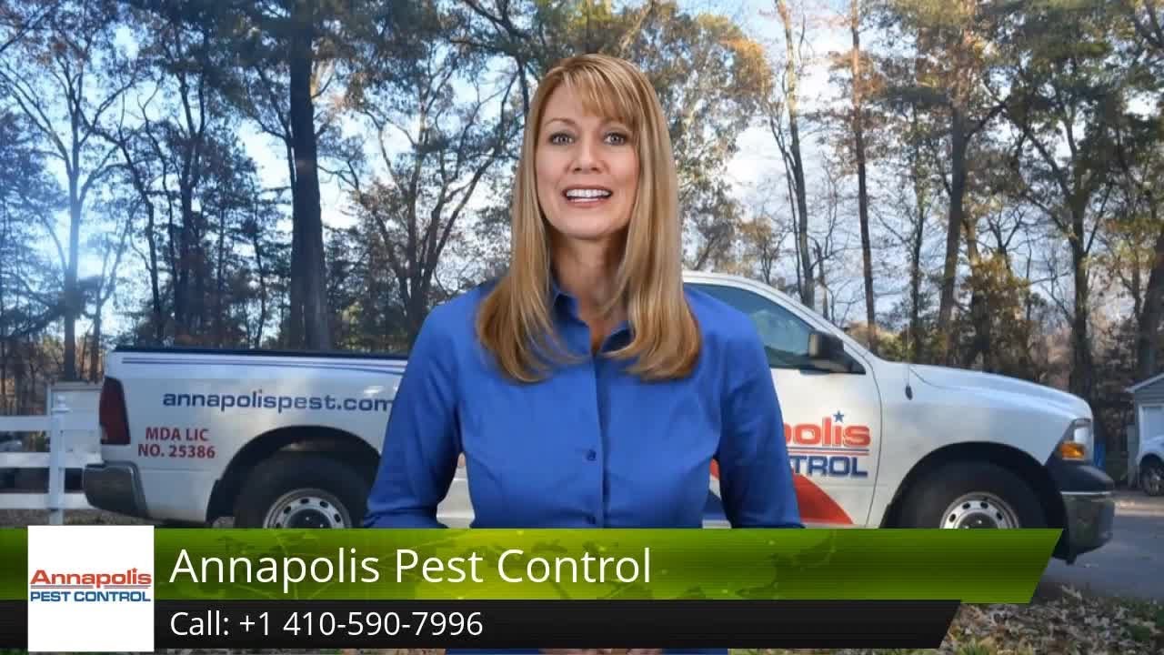 Annapolis Pest Control Review Carrollton Rd MD 21409 +1 410-590-7996