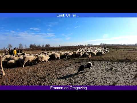 Schaapskooi Bargerveen Weiteveen