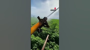 Béc tưới cánh đập tưới nghe đã cái lổ tai gê