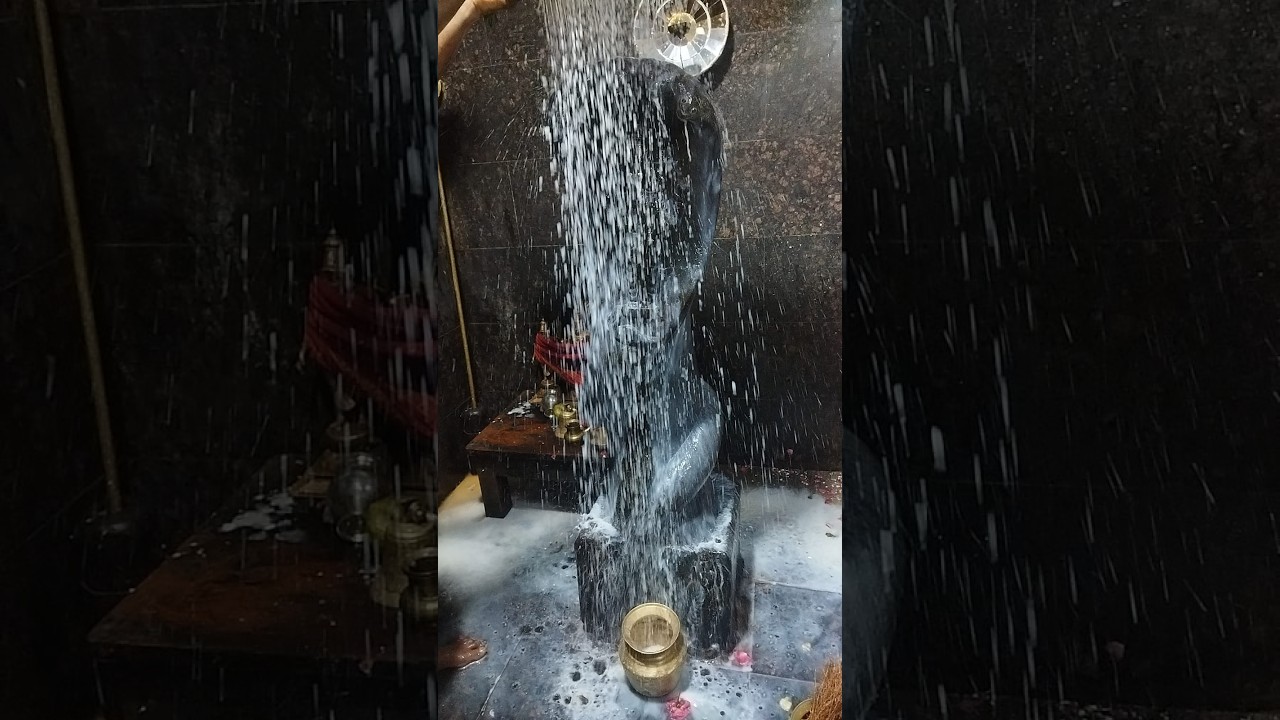 సుబ్రహ్మణ్య స్వామి ఈరోజు అభిషేకోత్సవం  . . Subrahmanya swamy Abhishekam , ,