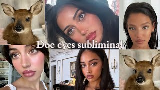 Bambidoe Eye Princess