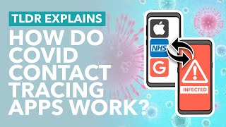 How COVID Contact Tracing Apps Could End Lockdown: NHS, Apple & Google's Apps Explained - TLDR News