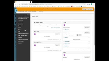 Blackboard Navigation Basics