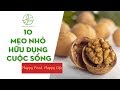 10 Mẹo Nhỏ Hữu Dụng Cho Cuộc Sống