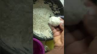 This Is How I Make And Shape Well Rounded Puff Puff When Frying... Check Full Video To See Result