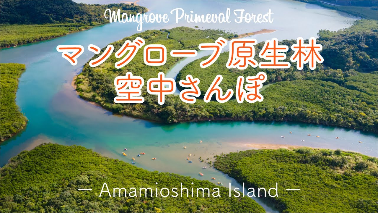 空撮 カヌーが賑わう奄美の冬 マングローブ原生林空中さんぽ 奄美大島 奄美市 Youtube