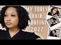 How To Get Defined And Bouncy Curls Every Time | My Updated Natural Curly Hair Routine 2022