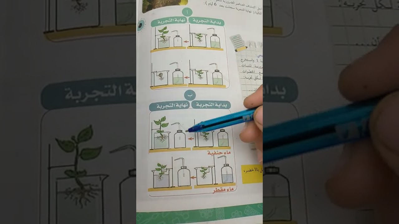 الحاجيات الغذائية للنبات الأخضر الجزء الأول سنة أولى متوسط