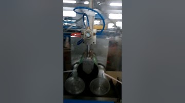 Chrysanthemum Packing Net and Flower Bud Protecting Net Making Machine