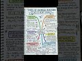 Types of Chemical Reactions #class10 #science #chemistry #cbse #ncert #icse #ytshorts #yt #trending