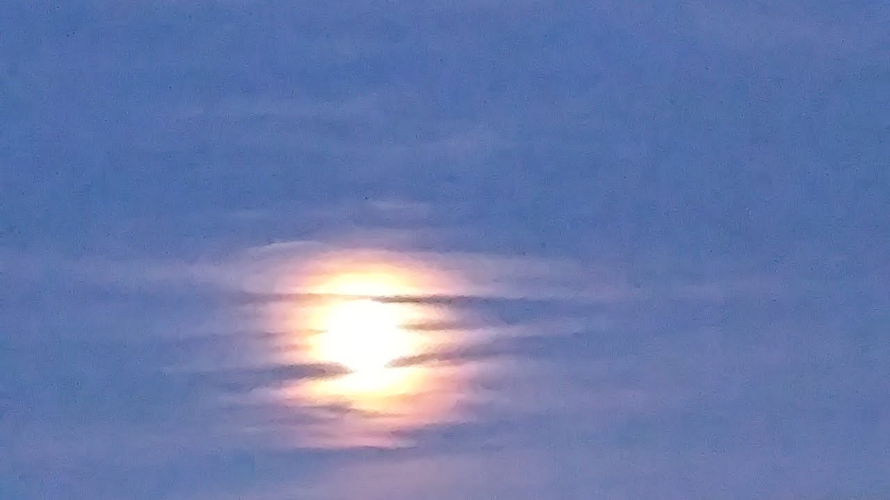 சங்கீதம் முழங்கும் தேவரீர்