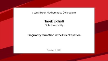 Singularity formation in the Euler Equation - Tarek Elgindi