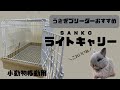 うさぎブリーダーおすすめのキャリー【SANKOライトキャリー】