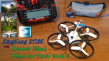 KingKong ET125 with Dynamic Filters, DSHOT, and Turtle Mode !!