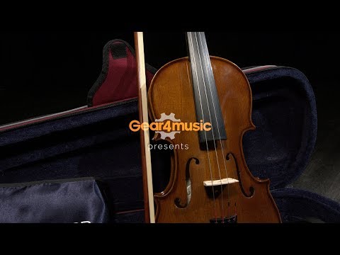 Скрипка STENTOR 1500/G STUDENT II VIOLIN OUTFIT 1/8, видео 1