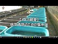 【メダカ飼育】病気予防の塩水浴