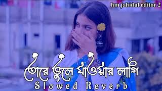 তর ভল যওযর লগ Slowed Reverb Lofi Music Lofi Song Tiktok Viral Sad Lofi Song