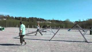 Rölli kisat (I-HAH)
